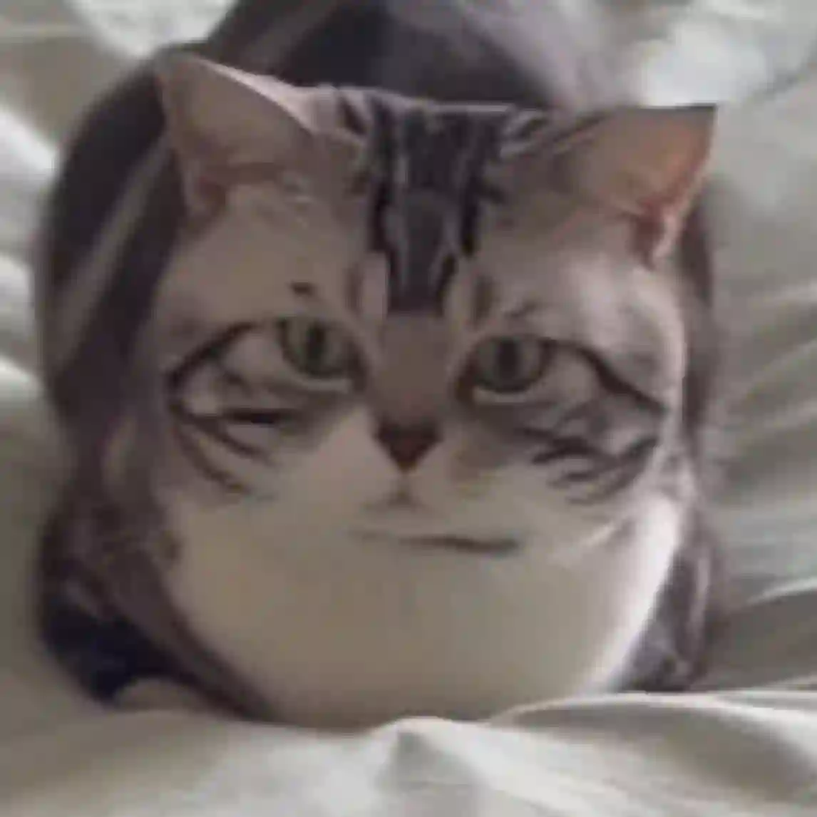 三月